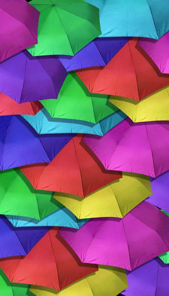 Muitos guarda-chuvas
 - Foto, Imagem