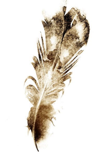 Black drawing of feather on white - Valokuva, kuva