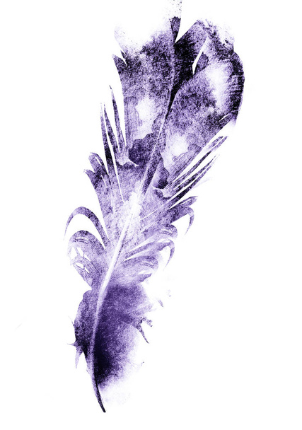 Black drawing of feather on white - Fotografie, Obrázek
