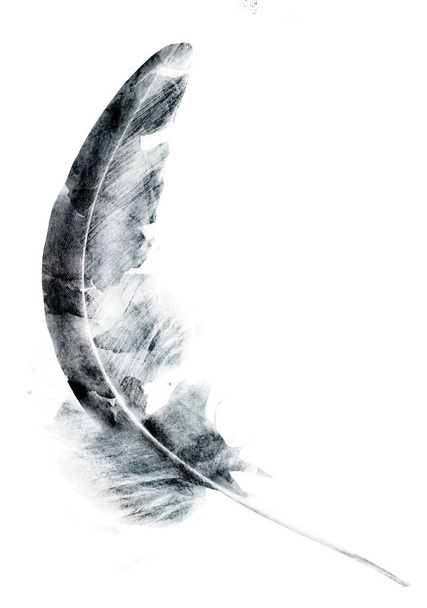 Чорний малюнок пера на білому
 - Фото, зображення