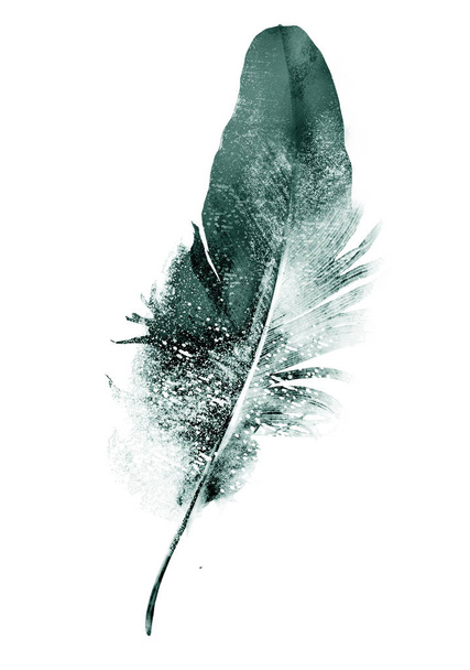 Black drawing of feather on white - Фото, зображення