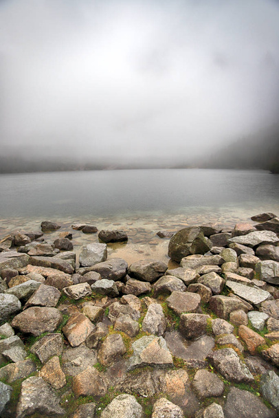 ポーランド高タトラ山脈のタトラ国立公園。霧と雨の日のモルスキー湖オコ、ザコパネ、ポーランド、ヨーロッパ. - 写真・画像