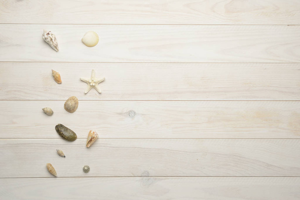 Seashells, starfish and sea shells on white wooden background - Foto, afbeelding