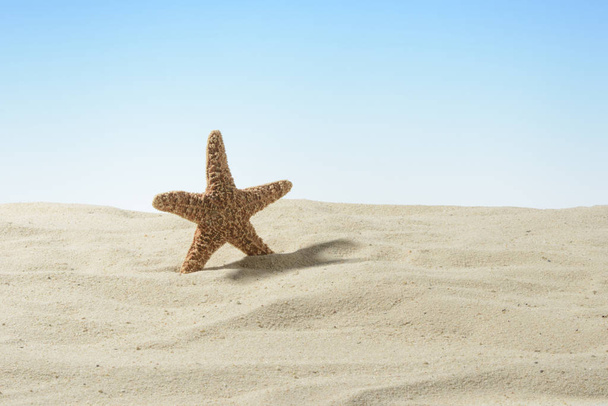Red starfish on the sand - Zdjęcie, obraz