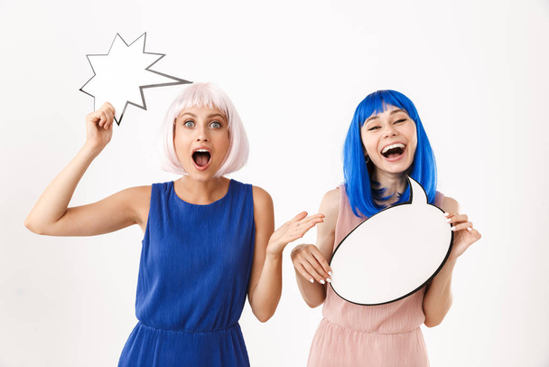 Portrait of two delighted women wearing blue and pink wigs holding empty placards for copyspace text - 写真・画像