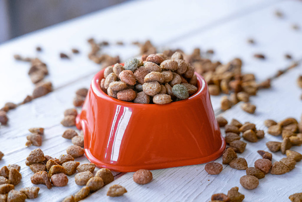 Fresh and natural dry pet food in a orange plastic bowl. - Photo, Image