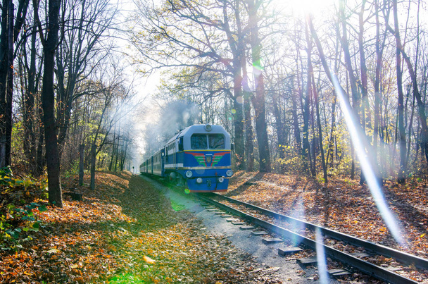 Bosque otoñal con un tren azul, día claro soleado y destello de lente
 - Foto, Imagen