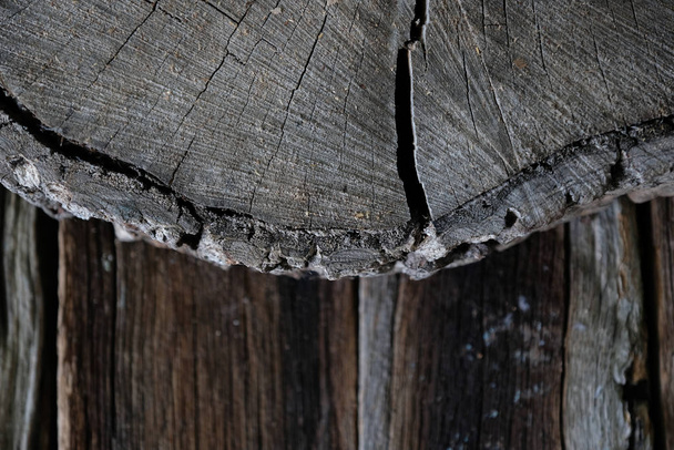 Abstract Wood texture natural design - Foto, afbeelding