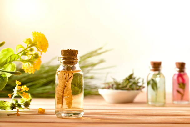 Jars with plant essence on wooden table and background plants - Fotografie, Obrázek