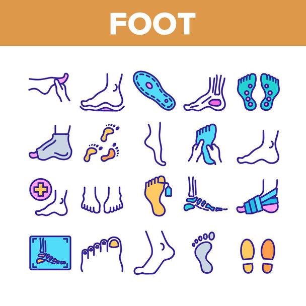 Fuß menschlicher Körper Teil Sammlung Symbole Set Vektor - Vektor, Bild