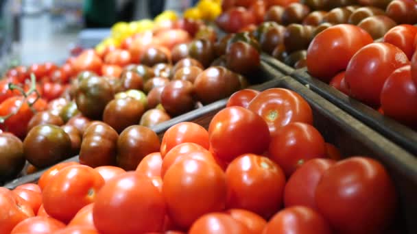 Verduras en la tienda de comestibles. Primer plano de tomates ecológicos frescos
. - Imágenes, Vídeo