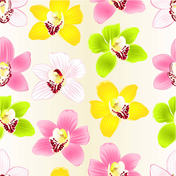nahtlose Textur tropische Orchidee cymbidium grün rosa gelb weiße Blume festlichen Hintergrund vintage Vektor Illustration editierbare Hand zeichnen - Vektor, Bild