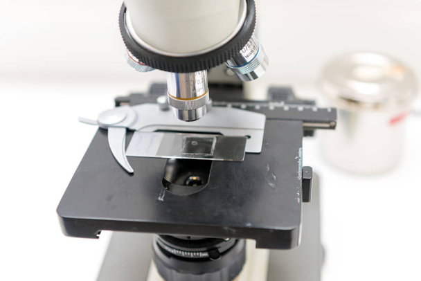 Veterinaria pone una muestra bajo el microscopio y examina si hay patógeno
 - Foto, Imagen