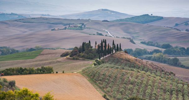 Paisaje idílico con prado archivado en la zona de Toscana cerca de Pienz
 - Foto, imagen