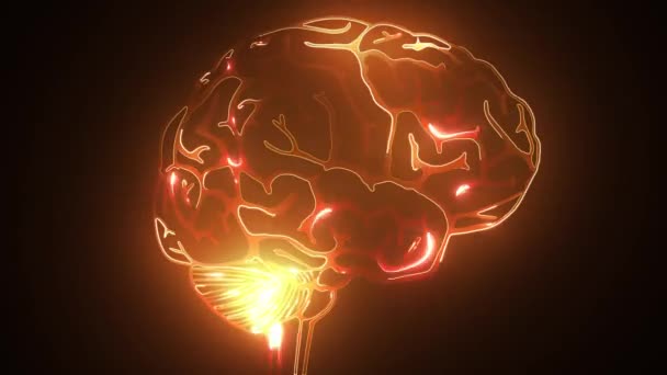 cerebro humano hecho de formas iluminadas. Ilustración del concepto de inteligencia artificial consistente en líneas brillantes, puntos y luces de neón
. - Metraje, vídeo
