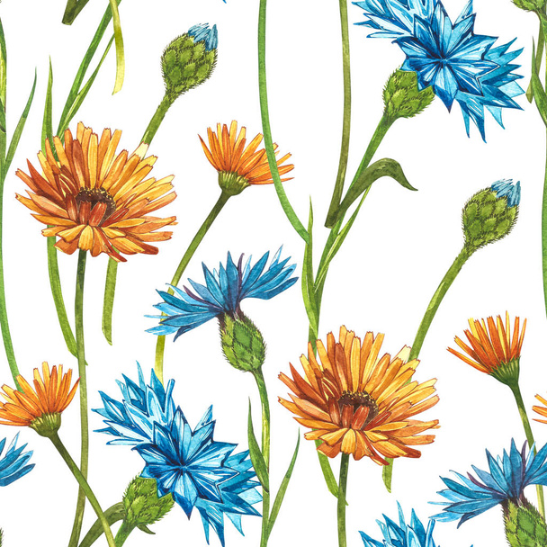 Blue Cornflower Herb or bachelor button flower bouquet with Calendula flowers isolated on white background. Set of drawing cornflowers, floral elements, watercolor botanical illustration. Seamless - Zdjęcie, obraz