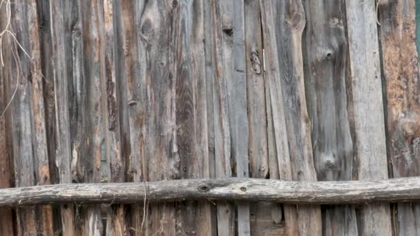 régi fa rusztikus görbe nincs festett kerítés - Felvétel, videó