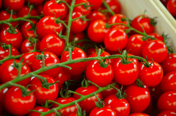 legumes frescos - tomates frescos vista de perto
 - Foto, Imagem