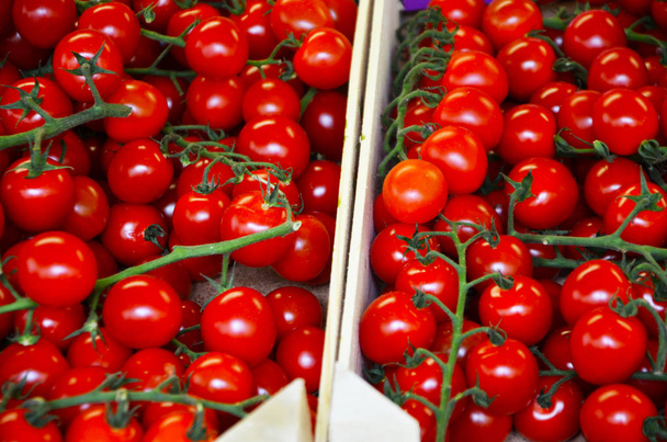 verse groenten - verse tomaten van dichtbij bekeken - Foto, afbeelding