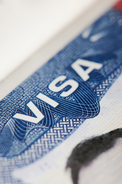 Az amerikai vízum makrója - Fotó, kép