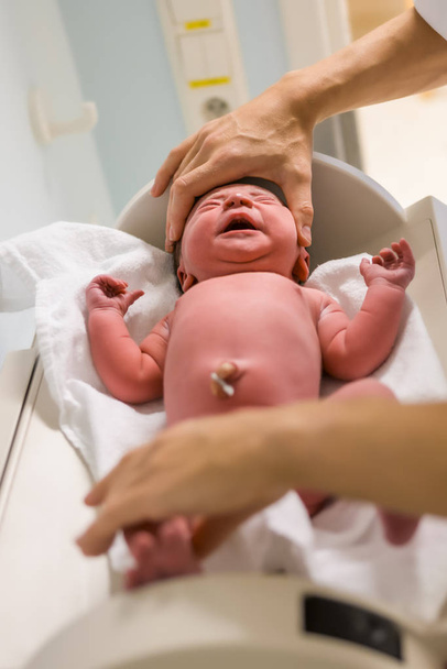 Yeni doğmuş bir bebek doğumdan hemen sonra hastanede muayene edilir. Uzunluk ölçümü. - Fotoğraf, Görsel