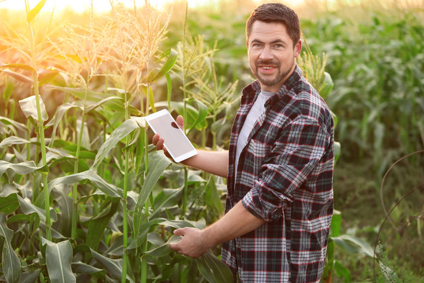 A mezőgazdaságban dolgozó férfi mezőgazdasági mérnök - Fotó, kép