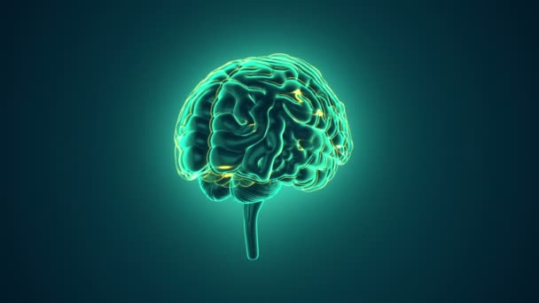 animatie van rotatie menselijke hersenen met neuronale impulsen binnen op groene achtergrond, wetenschap en sociale technologie concept. Animatie van een naadloze lus.  - Video