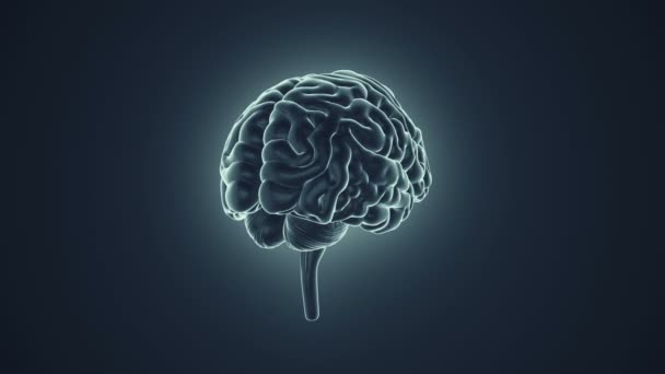 анімація обертання людського мозку на сірому фоні, концепція науки та соціальних технологій. Анімація безшовної петлі
.  - Кадри, відео