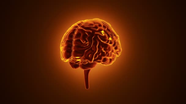 анимация вращения мозга человека с нейронными импульсами внутри на красном фоне, концепция науки и социальных технологий. Анимация бесшовного цикла
.  - Кадры, видео