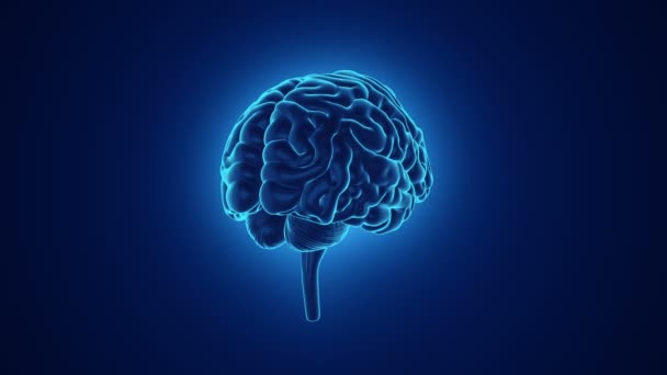 Mavi arka planda insan beyninin dönüşümünün animasyonu, bilim ve sosyal teknoloji kavramı. Kusursuz döngünün animasyonu.  - Video, Çekim
