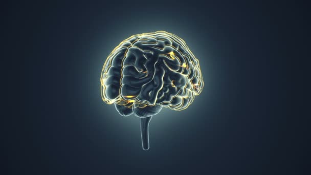 animazione di rotazione cervello umano con impulsi neuronali all'interno su sfondo grigio, scienza e concetto di tecnologia sociale. Animazione del loop senza soluzione di continuità
.  - Filmati, video