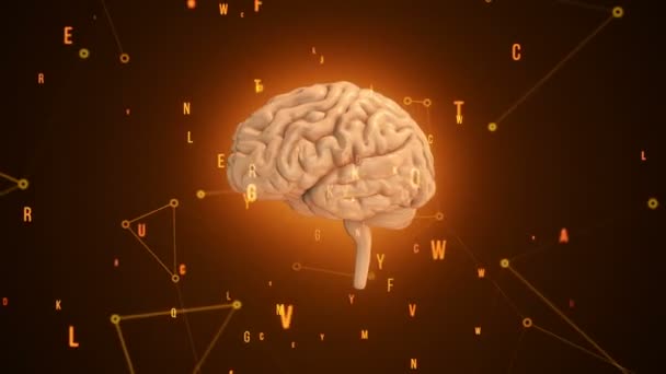 Animazione di rotazione rosa cervello umano con dati di volo intorno su sfondo arancione. Animazione del loop senza soluzione di continuità
 - Filmati, video