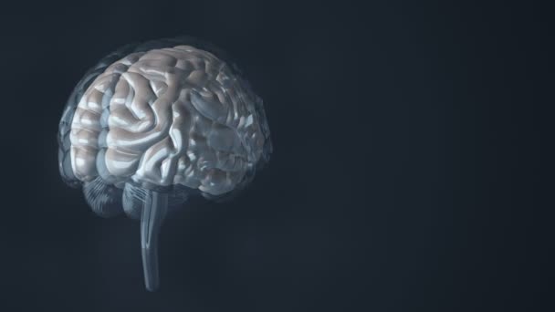 Free Stock Videos of Neurology, Stock Footage in 4K and Full HD
