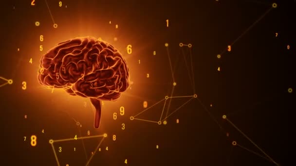 Animace rotačního oranžového lidského mozku s letícími daty na šedém pozadí. Animace bezešvé smyčky - Záběry, video
