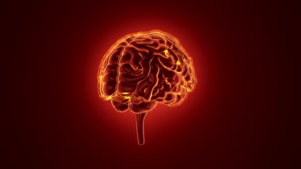Kırmızı arka plan, bilim ve sosyal teknoloji kavramında nöronal dürtüleri olan insan beyninin dönüşümünün animasyonu. Kusursuz döngünün animasyonu.  - Video, Çekim