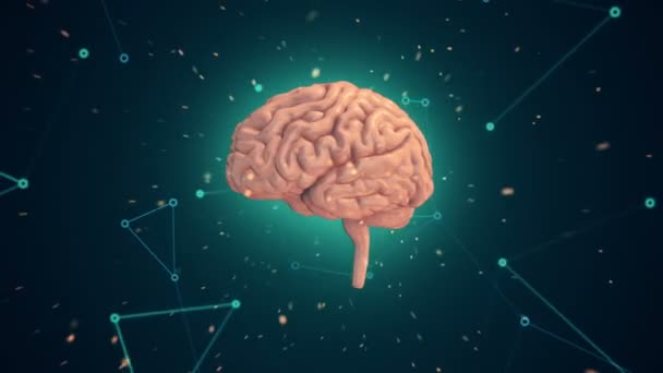 Animace rotačního růžového lidského mozku s letícími daty na tyrkysovém pozadí. Animace bezešvé smyčky - Záběry, video