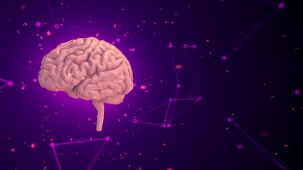 Animace rotačního růžového lidského mozku s letícími daty na fialovém pozadí. Animace bezešvé smyčky - Záběry, video