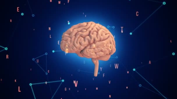 Animace rotačního růžového lidského mozku s letícími daty na modrém pozadí. Animace bezešvé smyčky - Záběry, video