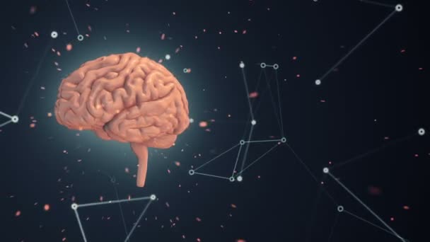 Animatie van rotatie roze menselijke hersenen met vliegende gegevens rond op grijze achtergrond. Animatie van een naadloze lus - Video