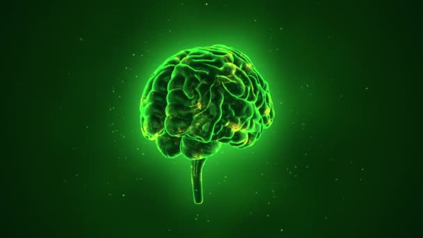 animatie van de rotatie van menselijke hersenen op groene achtergrond, wetenschap en sociale technologie concept. Animatie van een naadloze lus.  - Video