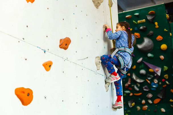 malá dívka horolezec v zábavním parku s lezeckou stěnou  - Fotografie, Obrázek