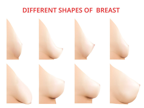 Diferentes formas de mama, mama de las mujeres, ilustración vectorial
 - Vector, imagen