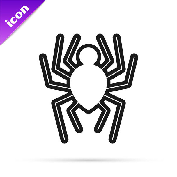 Black line Spider icon isolated on white background. Happy Halloween party. Vector Illustration - Vector, Image