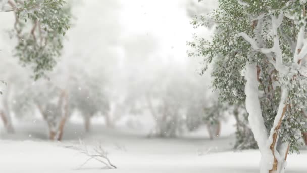 Snowy Forest with Depth of Field. - Footage, Video