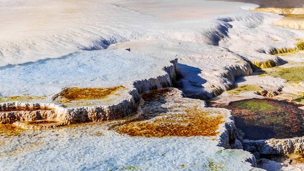 Alfombras de agua azul cristalina y bacterias marrones creadas por cianobacterias en el agua de las terrazas Travertino formadas por géiseres en Mammoth Hot Springs en el Parque Nacional Yellowstone en Wyoming, Estados Unidos
 - Foto, imagen