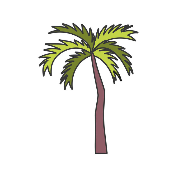 Tropische Palme auf weißem Hintergrund - Vektor, Bild