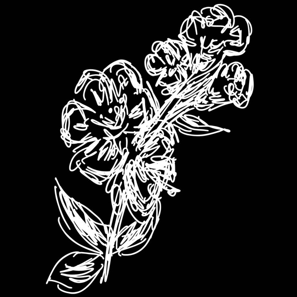 Vector sakura branch illustration isolated on black background. Outline sakura icon - Vecteur, image