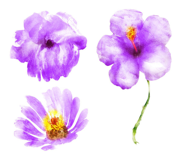 Watercolor flowers, isolated on white background - Foto, imagen