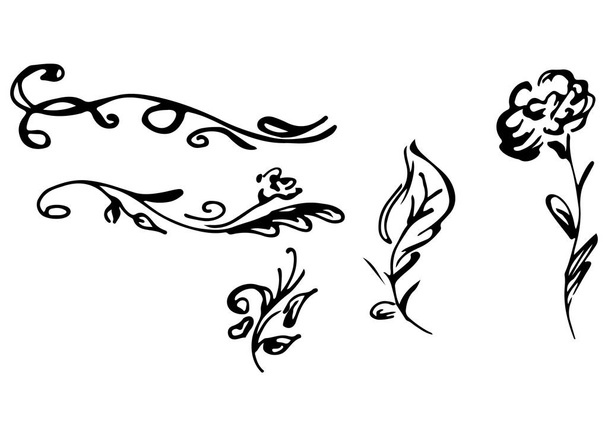 Hand Drawn Vector Illustrations Of Abstract Set of Flowers Isolated on White. Hand Drawn Sketch of a Flowers - Vecteur, image