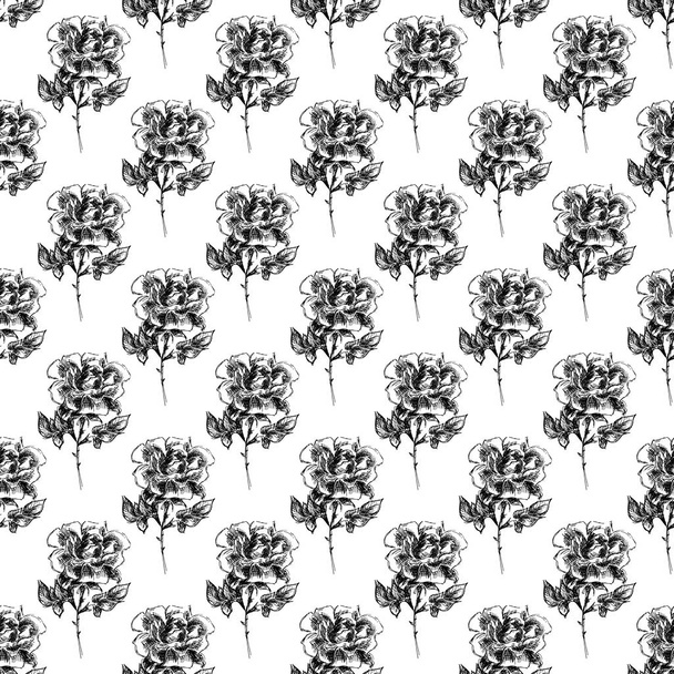 Seamless freehand pattern of abstract rose flowers isolated on white background. Vector floral illustration. Cute doodle modern isolated elements. Outline. - Вектор, зображення